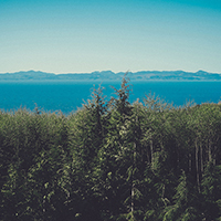 智慧便利出色的免费轰炸电话软件下载