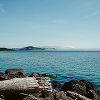 手机号在线轰炸测试