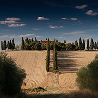 免费网络电话在线使用